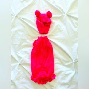 Pink x small sweater and hat for puppy or small dog